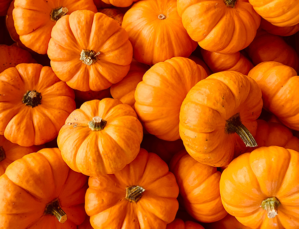 5 Fun and Creative Things to Do with Pumpkins